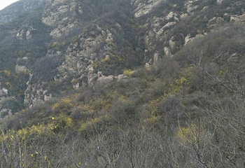 大鸿寨风景区第 44 张图片