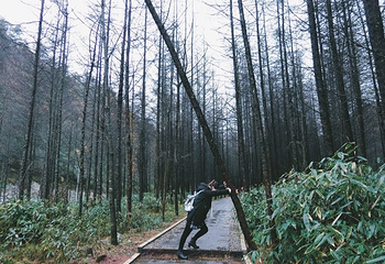 光雾山旅游景区第 133 张图片