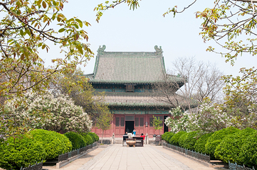 隆兴寺第 103 张图片