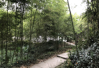 沈园第 107 张图片