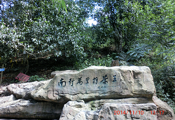 南糯山第 26 张图片
