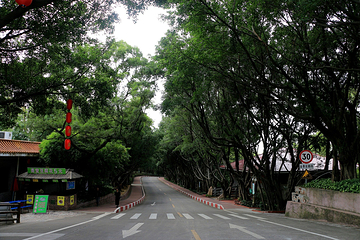 广州番禺莲花山港-香港往返客轮第 20 张图片