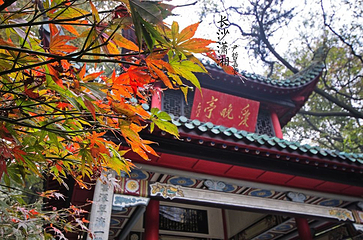 岳麓山第 122 张图片