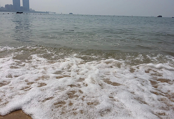 观海园度假村第 6 张图片
