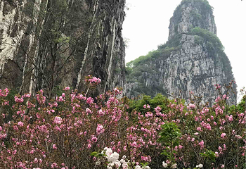 南溪山景区第 51 张图片