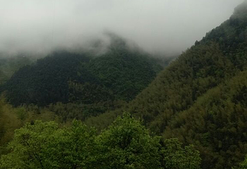 三联峒景区第 45 张图片