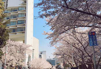 同济大学(四平路校区)第 30 张图片