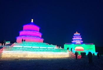沈阳国际冰雪节盛京灯会第 8 张图片