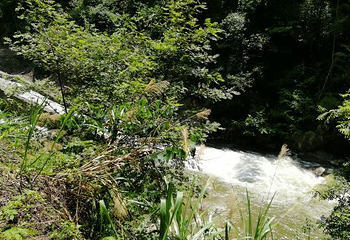 连云山大峡谷第 29 张图片