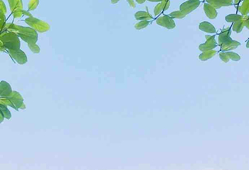 太平湾第 5 张图片