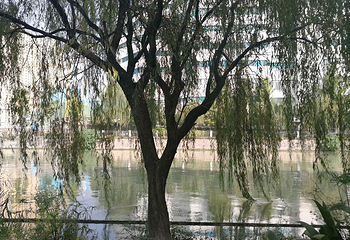 活水公园第 16 张图片