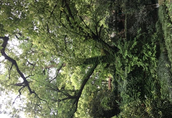 保国寺古建筑博物馆第 25 张图片