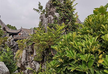 余荫山房第 83 张图片