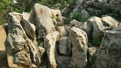 奇石林第 13 张图片
