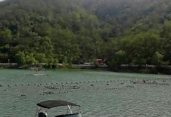 侍郎湖生态旅游景区第 10 张图片
