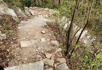 明堂山风景区第 72 张图片
