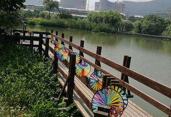 长兴太湖图影湿地文化园第 77 张图片