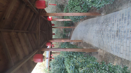 三山森林溪谷温泉第 19 张图片