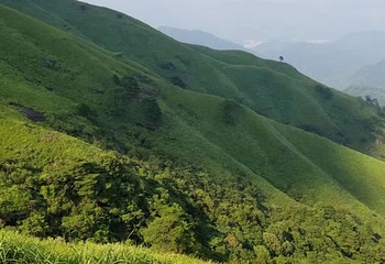 青山湖风景区第 15 张图片