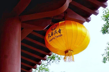 大华兴寺第 13 张图片