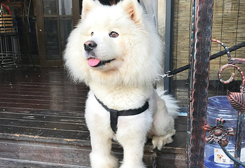 西关古老大屋第 15 张图片