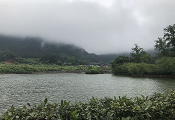 阁皂山风景名胜区第 23 张图片