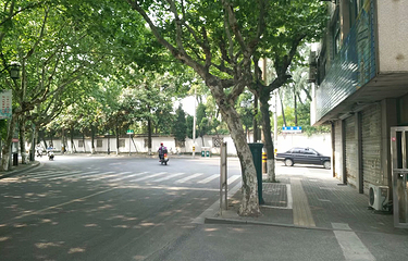 莲花庄公园第 3 张图片