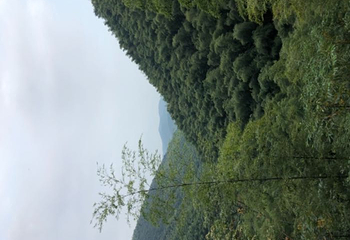宜兴竹海风景区第 47 张图片