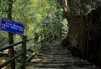 周洛第 5 张图片