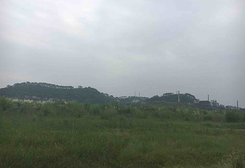安居黄家坝湿地公园第 3 张图片