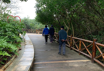 富力红树湾湿地公园第 25 张图片