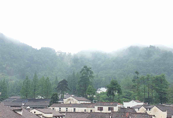 旃檀禅林第 14 张图片