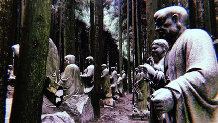 武陵山国家森林公园第 65 张图片