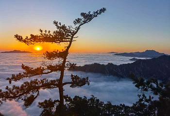 老界岭旅游度假区第 58 张图片