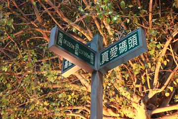 真爱码头第 18 张图片