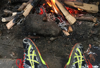 南宝牧场第 14 张图片