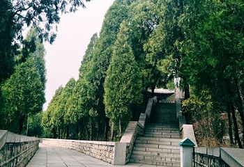 四门塔-涌泉竹林第 10 张图片