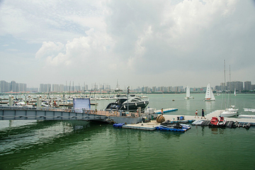 五缘湾帆船港第 26 张图片