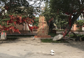 张学良温泉别墅第 30 张图片