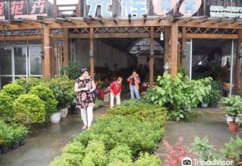 百花村第 2 张图片