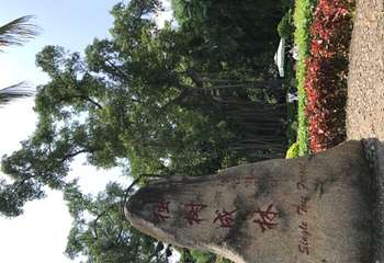 中缅边境公园第 25 张图片
