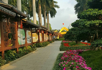 广西壮族自治区南宁市金花茶公园第 13 张图片