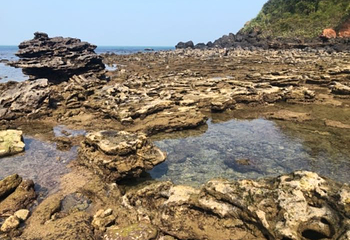 龙门激浪第 19 张图片