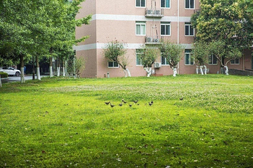 西南民族大学(武侯校区)第 1 张图片