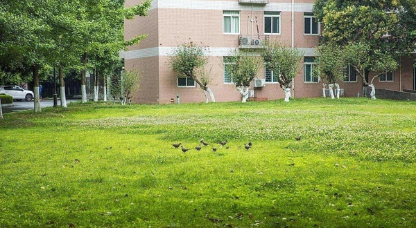 西南民族大学(武侯校区)