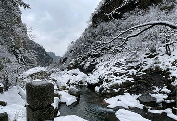 秀峰瀑布第 15 张图片