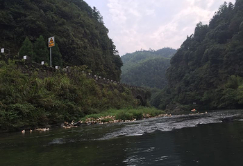 桃花源漂流第 33 张图片