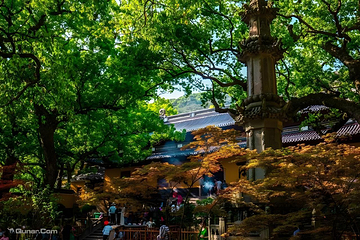 普陀山风景区第 3 张图片