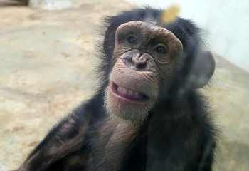 长春动植物公园第 62 张图片