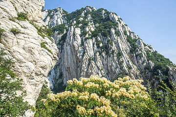 三皇寨第 13 张图片